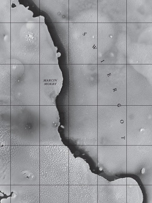 okładka Świergot książka | Mokry Marcin