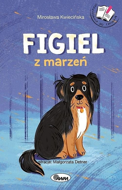 okładka Figiel z marzeń Opowiadania do czytania książka | Kwiwcińska Mirosława