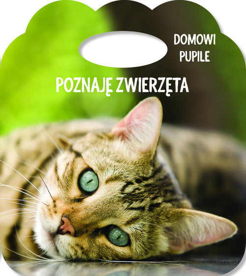 okładka Poznaję zwierzęta Domowe pupile Książka z uszkiem książka | różni