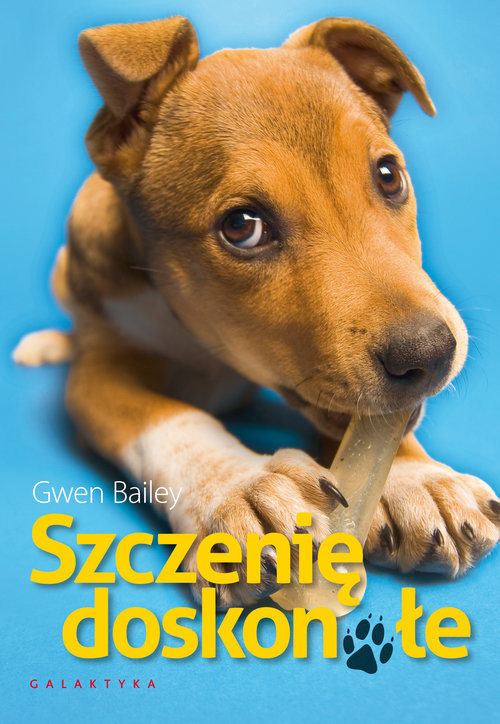 okładka Szczenię doskonałe książka | Bailey Gwen