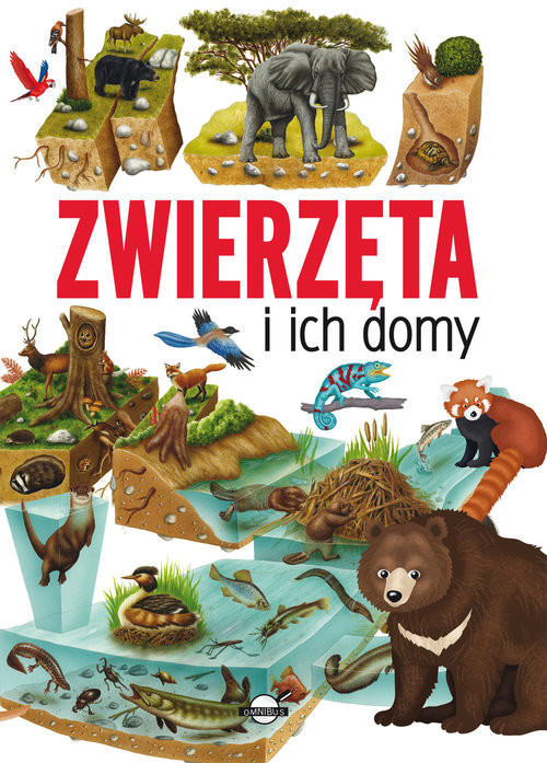 okładka Zwierzęta i ich domy książka | Ilaria Barsotti