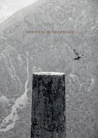 okładka Sentencje delfickie. Książka do pisania książka | Bielawski Krzysztof