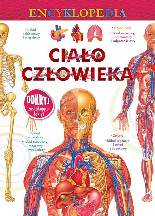 okładka Encyklopedia Ciało człowieka książka
