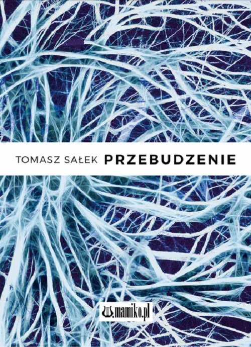 okładka Przebudzenie książka | Sałek Tomasz