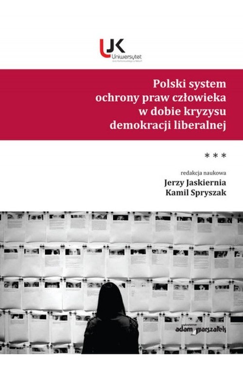 okładka Polski system ochrony praw człowieka w dobie kryzysu demokracji liberalnej Tom 3 książka
