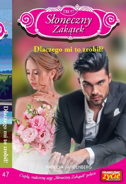 okładka Słoneczny zakątek Tom 47 Dlaczego mi to zrobił? książka | Patricia Vandenberg