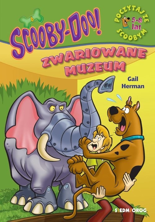 okładka ScoobyDoo! Zwariowane muzeum Poczytaj ze Scoobym książka | Gail Herman
