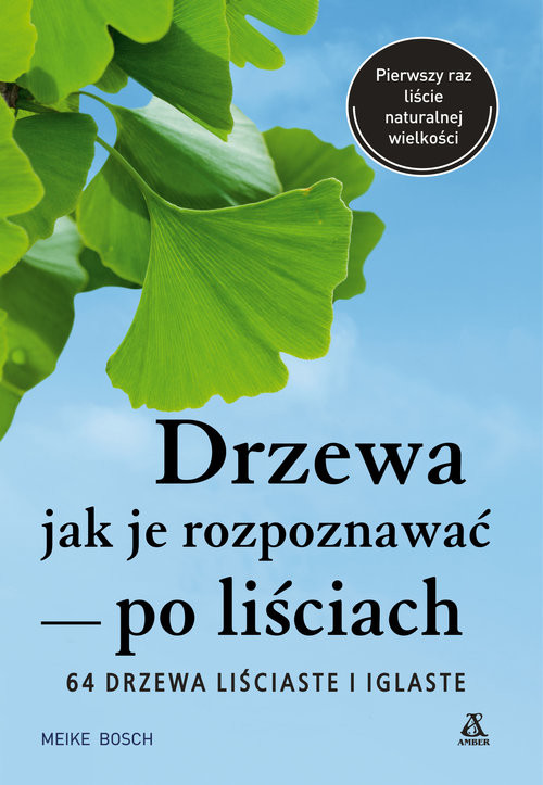 okładka Drzewa Jak je rozpoznawać po liściach książka | Meike Bosch