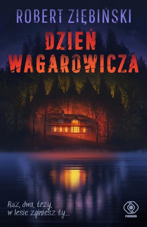 okładka Dzień wagarowicza książka | Robert Ziębiński