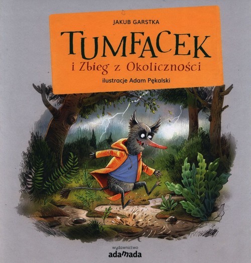 okładka Tumfacek i Zbieg z Okoliczności książka | Jakub Garstka