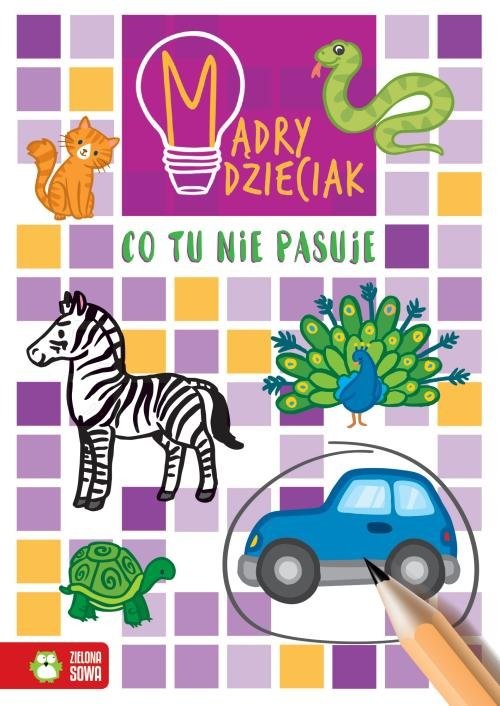 okładka Mądry dzieciak Co tu nie pasuje książka | Sarna Katarzyna