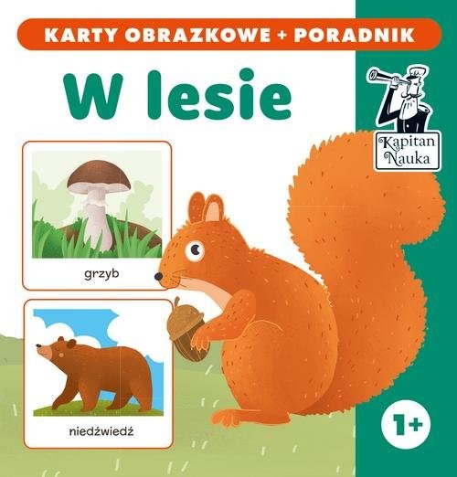 okładka W lesie (karty obrazkowe + poradnik) książka | Praca Zbiorowa