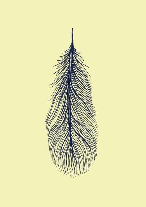 okładka Jak robić nic książka | Jenny Odell