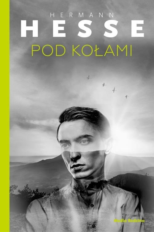 okładka Pod kołami książka | Hermann Hesse