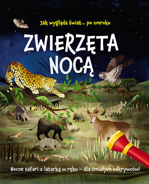 okładka Jak wygląda świat... po zmroku Zwierzęta nocą Nocne safari z latarką w ręku - dla śmiałych odkrywców! książka | Regan Lisa