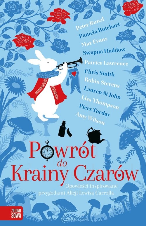 okładka Powrót do Krainy Czarów książka | Bunzl Peter, Pamela Butchart