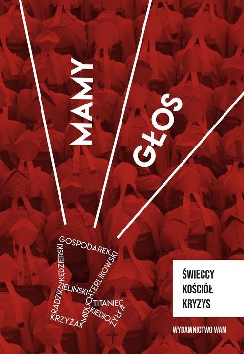 okładka Mamy głos Świeccy, Kościół, kryzys książka