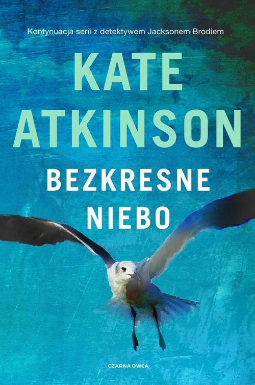 okładka Bezkresne niebo książka | Kate Atkinson