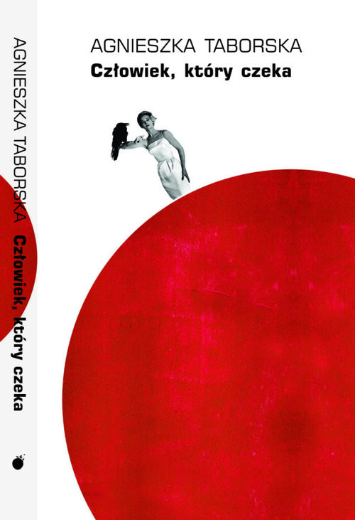 okładka Człowiek który czeka Pandemia na mansardzie książka | Agnieszka Taborska