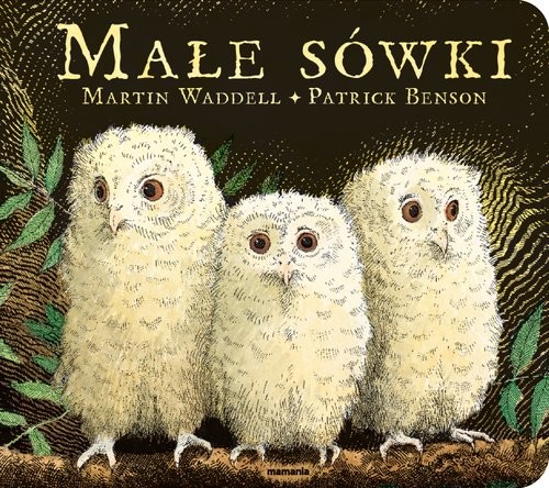 okładka Małe sówki Książka kartonowa książka | Waddell Martin