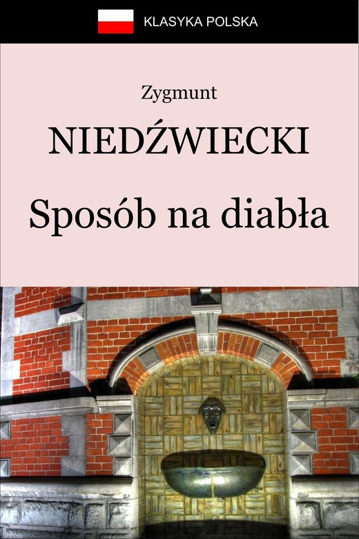 okładka Sposób na diabła ebook | epub, mobi | Zygmunt Niedźwiecki