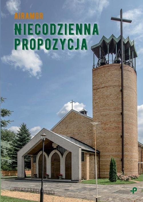 okładka Niecodzienna propozycja książka | Airamgr