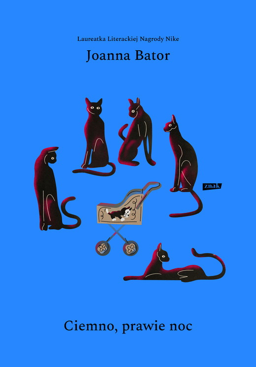 okładka Ciemno, prawie noc ebook | epub, mobi | Joanna Bator