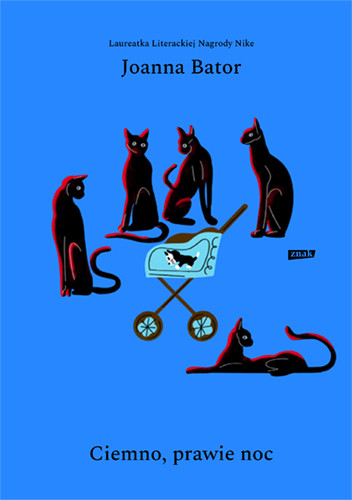 okładka Ciemno, prawie noc książka | Joanna Bator