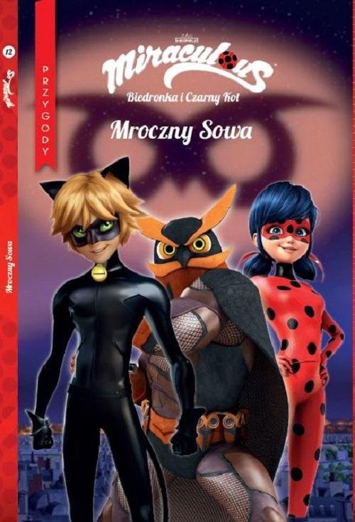 okładka Biedronka i Czarny Kot Przygody Część 12 Mroczny Sowa książka