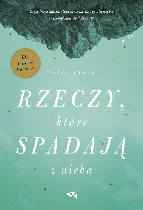 okładka Rzeczy, które spadają z nieba książka | Selja Ahava