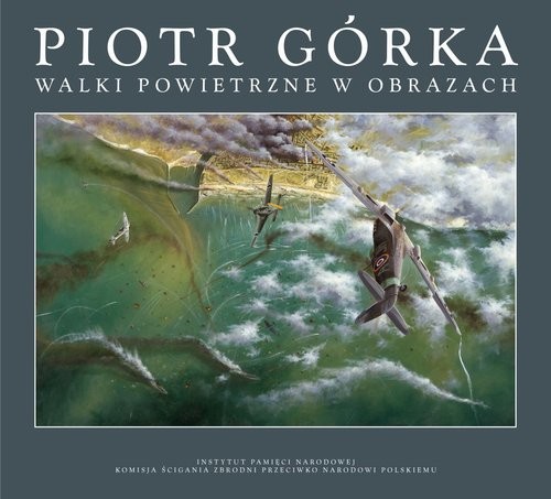 okładka Walki powietrzne w obrazach        książka | Górka Piotr