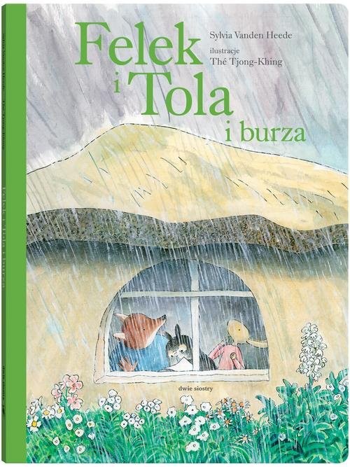 okładka Felek i Tola i burza książka | Sylvia Vanden Heede