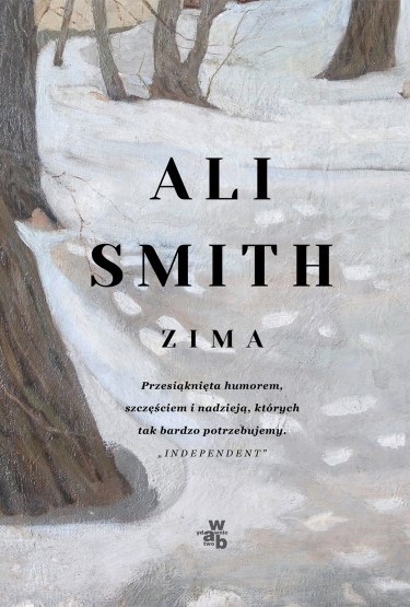 okładka Zima. Pory roku. Tom 2 książka | Ali Smith