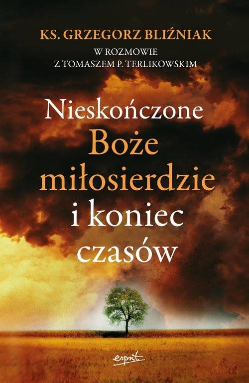 okładka Nieskończone Boże Miłosierdzie i koniec czasów książka | Grzegorz Bliźniak, Tomasz Terlikowski