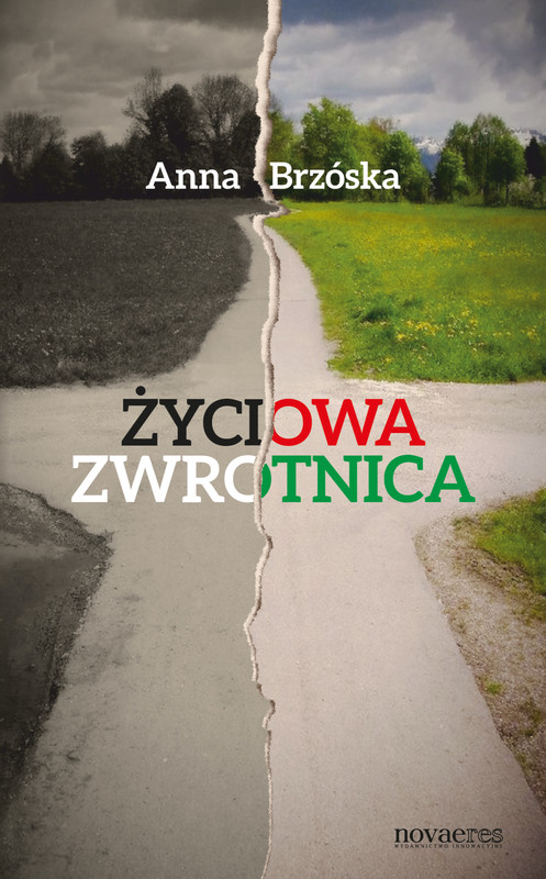 okładka Życiowa zwrotnica ebook | epub, mobi | Anna Brzóska