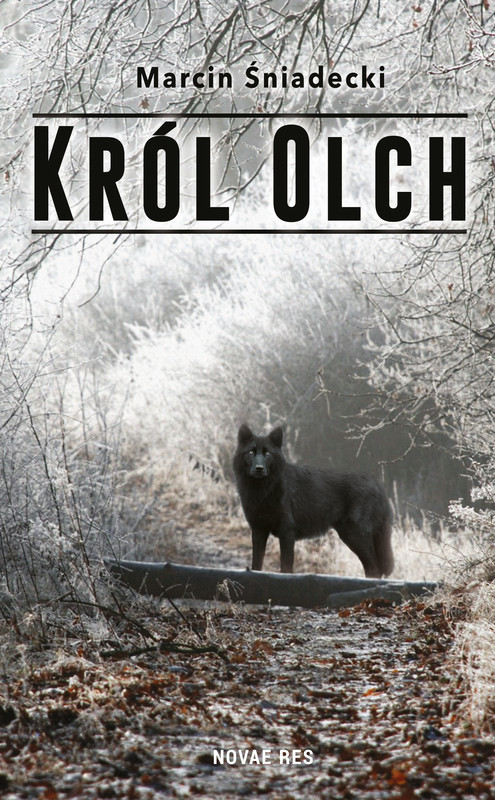 okładka Król Olch ebook | epub, mobi | Marcin Śniadecki
