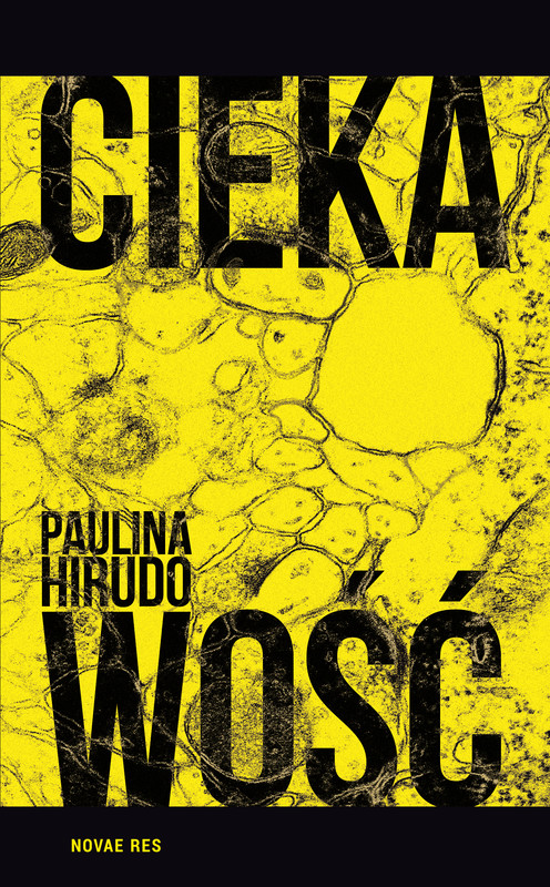 okładka Ciekawość ebook | epub, mobi | Paulina Hirudo