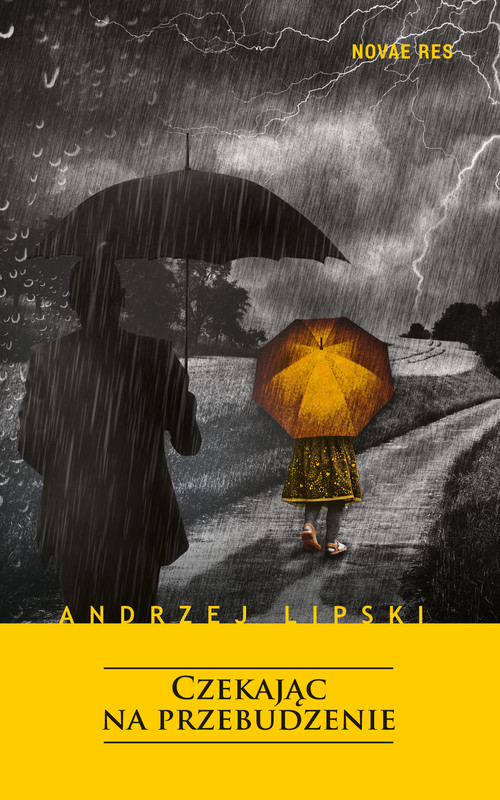 okładka Czekając na przebudzenie ebook | epub, mobi | Andrzej Lipski
