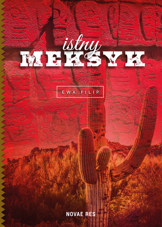 okładka Istny Meksyk ebook | epub, mobi | Ewa Filip