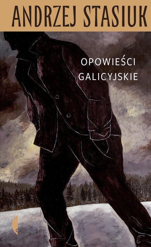 okładka Opowieści galicyjskie książka | Andrzej Stasiuk