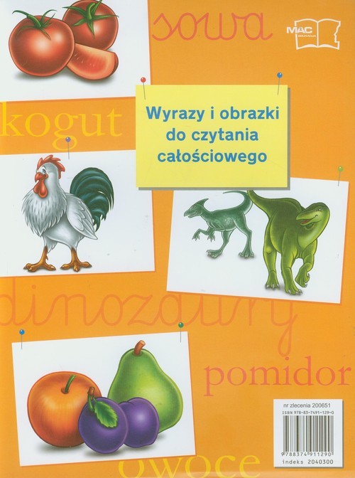 okładka Wyrazy i obrazki do czytania całościowego książka
