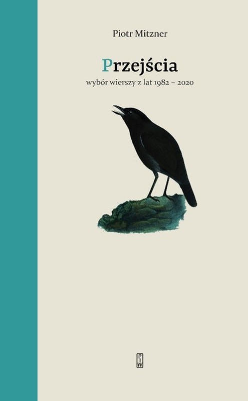 okładka Przejścia Wybór wierszy z lat 1982-2020 książka | Mitzner Piotr