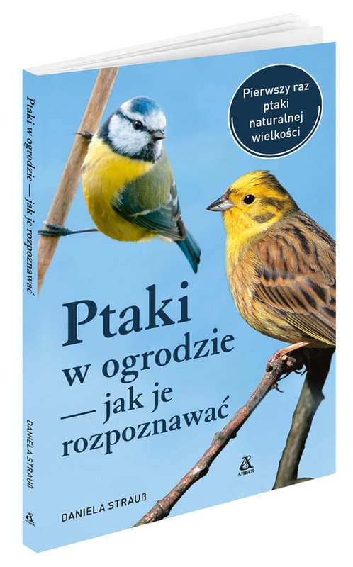 okładka Ptaki w ogrodzie Jak je rozpoznawać książka | Daniela Strauss