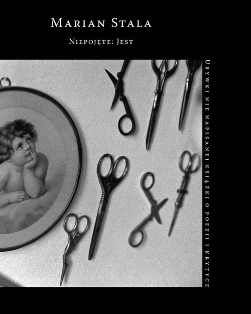 okładka Niepojęte: Jest Urywki nie napisanej książki o poezji i krytyce książka | Marian Stala