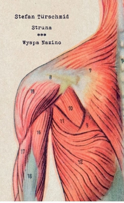 okładka Struna/ Wyspa Nazino ebook | epub, mobi | Stefan Türschmid