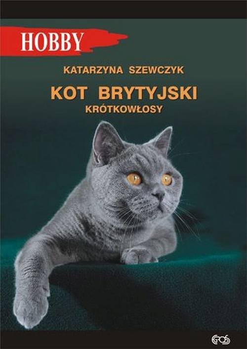 okładka Kot brytyjski krótkowłosy książka | Katarzyna Szewczyk