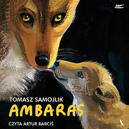 okładka Ambaras audiobook | MP3 | Samojlik Tomasz