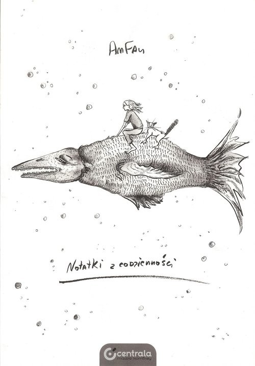 okładka Notatki z codzienności książka | AnFau