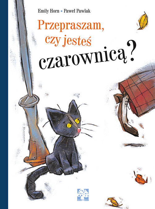 okładka Przepraszam czy jesteś czarownicą książka | Emily Horn