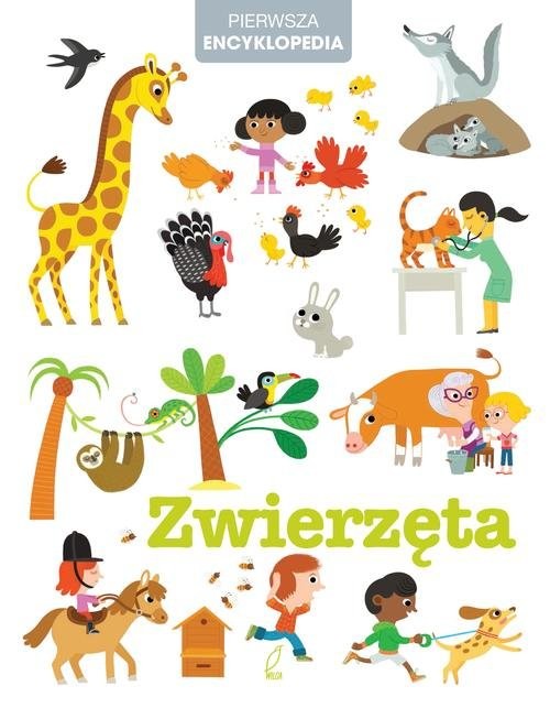 okładka Zwierzęta Pierwsza encyklopedia książka